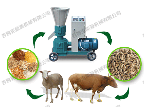 顆粒機(jī)、動物、顆粒