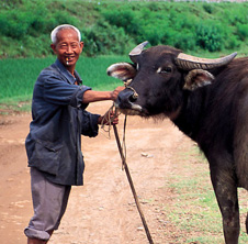 小型飼料顆粒機(jī),農(nóng)民圓夢(mèng)！